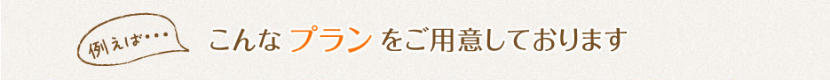 例えば、こんなプランをご用意しております